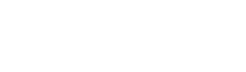 Logo ACO Vienne